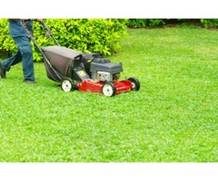 Commercial and Residential Lawn Service | free-classifieds-usa.com - 3