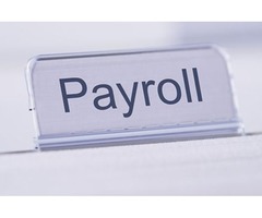 Payroll Services Tampa | free-classifieds-usa.com - 2