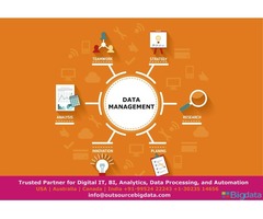Outsource Data Management Services  | free-classifieds-usa.com - 1