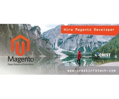 Hire Magento Developer | free-classifieds-usa.com - 1