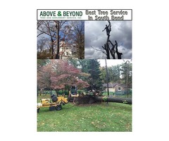 Beautiful Tree Service in South Bend | free-classifieds-usa.com - 1