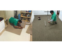 Progreen Carpet cleaning services in Durham  | free-classifieds-usa.com - 3