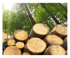 Whites Logging, LLC | free-classifieds-usa.com - 1