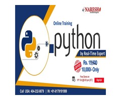 Python Online Training in USA - NareshIT | free-classifieds-usa.com - 1
