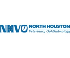 Best North Houston Pet Eye Health Doctor | free-classifieds-usa.com - 2