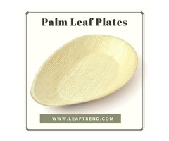 Biodegradable Palm Leaf Dinnerware  | free-classifieds-usa.com - 1