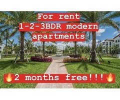 Modern apartments in Lauderdale Lakes. 2 months free!!  | free-classifieds-usa.com - 3