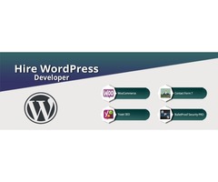 Hire our expert WordPress developers | free-classifieds-usa.com - 1