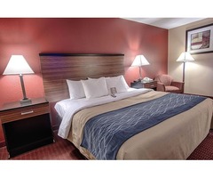 Best Hotels For Getaway Harbor Maryland | Comfortinnoxonhill.com | free-classifieds-usa.com - 1