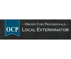 OCP Bee Removal Tucson AZ - Bee Exterminator | free-classifieds-usa.com - 1