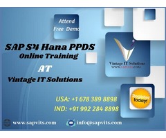 SAP S4 HANA PPDS Online Course | free-classifieds-usa.com - 1