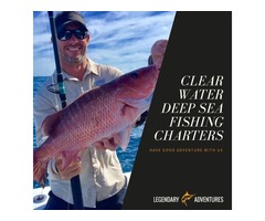 Fishing Charters Clearwater | free-classifieds-usa.com - 1
