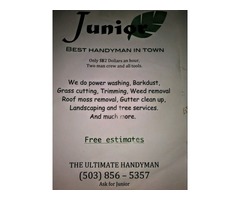Junior's Services Landscaping & Tree Services  | free-classifieds-usa.com - 2