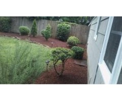 Junior's Services Landscaping & Tree Services  | free-classifieds-usa.com - 3