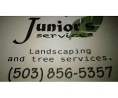 Junior's Services Landscaping & Tree Services  | free-classifieds-usa.com - 4