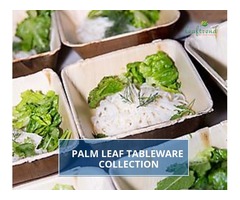 Compostable Palm Leaf Bowl | free-classifieds-usa.com - 1