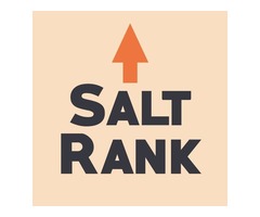 Kansas City SEO Services Provider | Salt Rank | free-classifieds-usa.com - 2