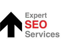  Pay For Results SEO Services | (888) 8TopSEO | free-classifieds-usa.com - 1
