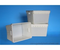 Wholesale Corrugated Plastic Box Lowest Price of $1 | free-classifieds-usa.com - 2