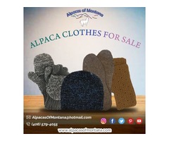 Alpac Clothes For Sale  | free-classifieds-usa.com - 3