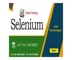 Selenium Online Training in USA - NareshIT | free-classifieds-usa.com - 1