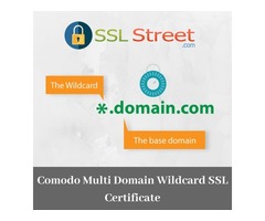 Unlimited Qualified Domian & Subdomain Security With Multi Domain Wildcard SSL | free-classifieds-usa.com - 1