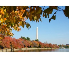 Washington D.C. Itinerary: 3-Day and 1-Day Options | free-classifieds-usa.com - 3