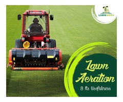 Lawn Aeration Services: The Key to Right Lawn Care  | free-classifieds-usa.com - 1
