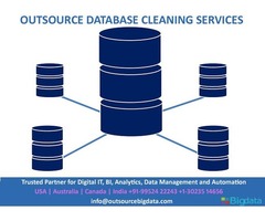 Outsource Data Cleansing Services | free-classifieds-usa.com - 1