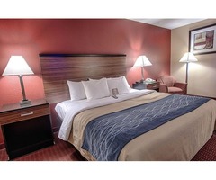 Book Best Family Hotel Rooms in Maryland | Comfort Inn | free-classifieds-usa.com - 1