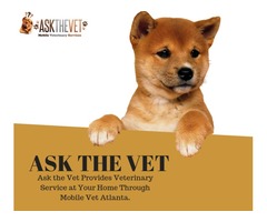 Get pet services at home by professional home visit vet | free-classifieds-usa.com - 1