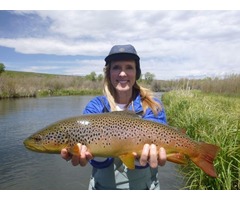 Get Exciting Service for White River Trout Fishing | free-classifieds-usa.com - 2