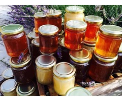 All kinds of bee honey from all over the world | free-classifieds-usa.com - 1