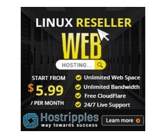 $5.99 Linux Reseller Web Hosting USA. | free-classifieds-usa.com - 1