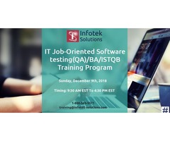 IT Job-Oriented Software testing(QA)/BA/ISTQB Training Program | free-classifieds-usa.com - 1