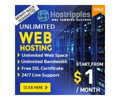 $1 Linux Shared Web Hosting USA. | free-classifieds-usa.com - 1