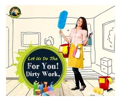 Clean your House Effectively in the Greenforce Way | free-classifieds-usa.com - 1