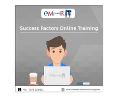  Best SAP HCM SuccessFactors Online Training | free-classifieds-usa.com - 1