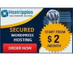 $2 Managed WordPress Hosting Plans in USA.  | free-classifieds-usa.com - 1