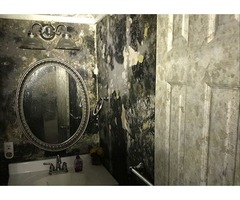 Mold Removal Nassau County | free-classifieds-usa.com - 1