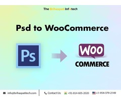 PSD/PNG/Sketch to WooCommerce Theme Conversion Services | free-classifieds-usa.com - 1