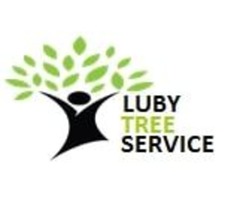Allen Tree removal - LubyTreeService | free-classifieds-usa.com - 2