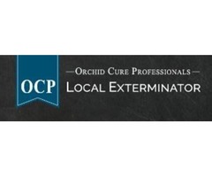 OCP Bed Bug Exterminator Boston MA - Bed Bug Removal | free-classifieds-usa.com - 1