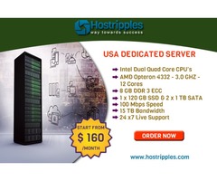 $160  USA Dedicated Server plans of Hostripples with Best Features. | free-classifieds-usa.com - 1