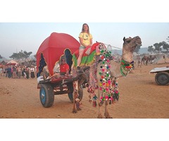 India Tourism Packages Booking Now  | free-classifieds-usa.com - 4