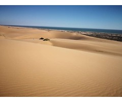 Photo Ventures Namibia - Tour Africa! | free-classifieds-usa.com - 2