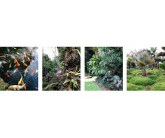 Affordable Landscape Design Services by Landscape Designers Miami | free-classifieds-usa.com - 3