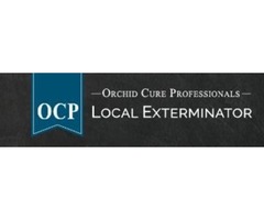 OCP Bee Removal Orlando FL - Bee Exterminator | free-classifieds-usa.com - 2