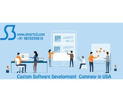 Custom Software Development Company USA | free-classifieds-usa.com - 1