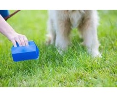Grab The Professional Dog Poop Scooper Services | free-classifieds-usa.com - 2